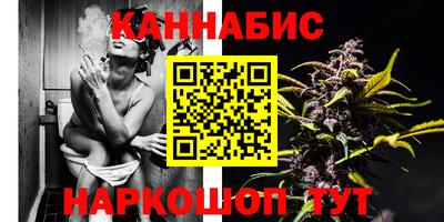 гашик Вышний Волочёк