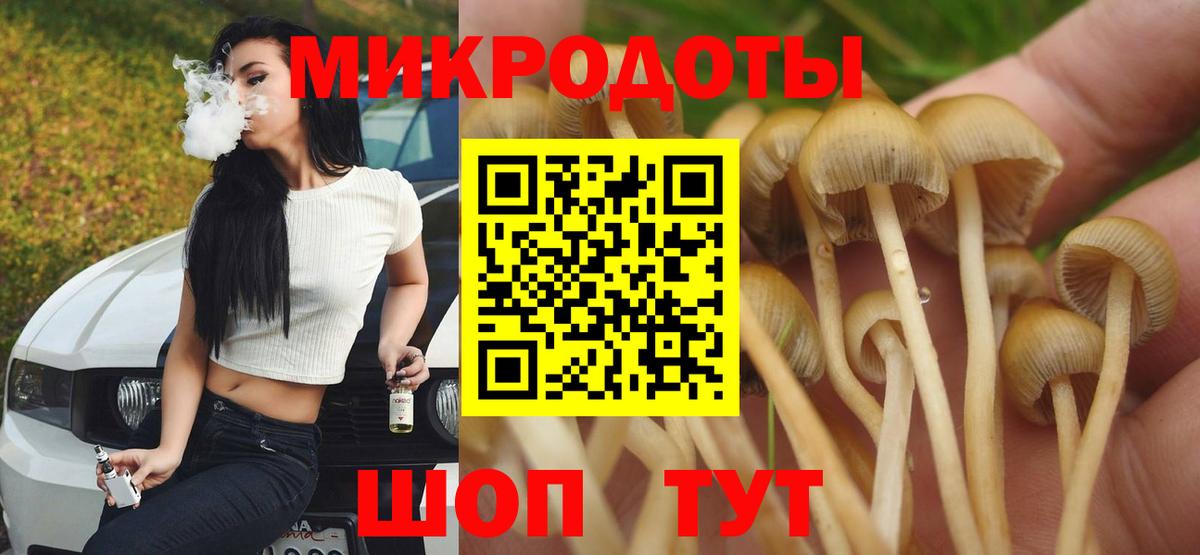Галлюциногенные грибы прущие грибы  Вход с VPN  Мичуринск  Псилоцибиновые грибы мухоморы 